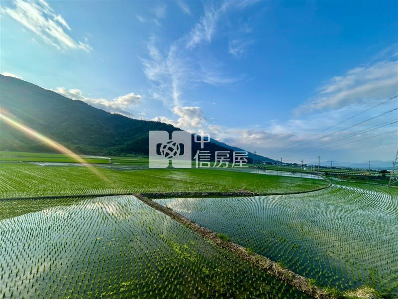花蓮富里超便宜農地房屋室內格局與周邊環境