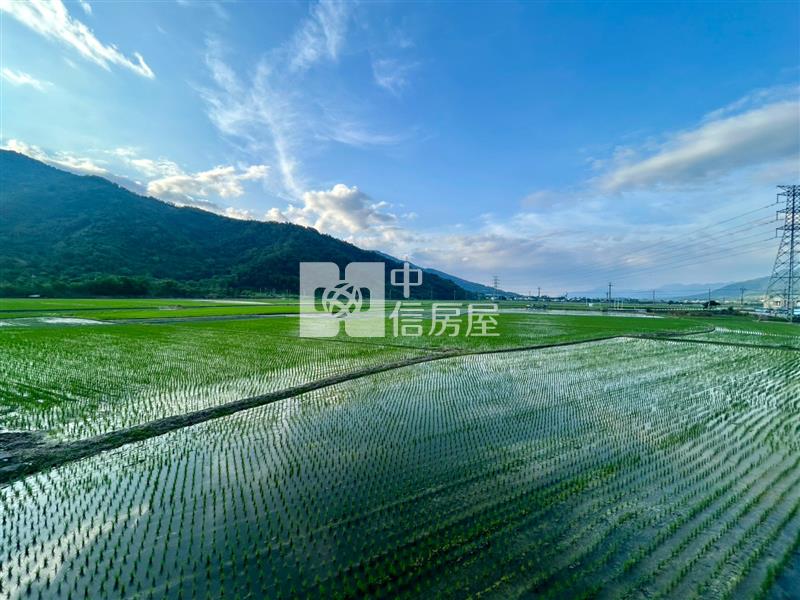 花蓮富里超便宜農地房屋室內格局與周邊環境