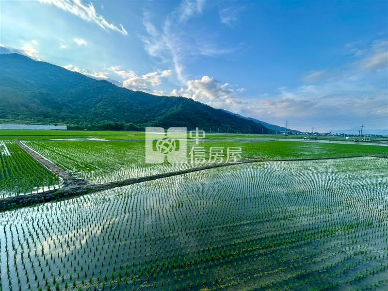 花蓮富里超便宜農地房屋室內格局與周邊環境