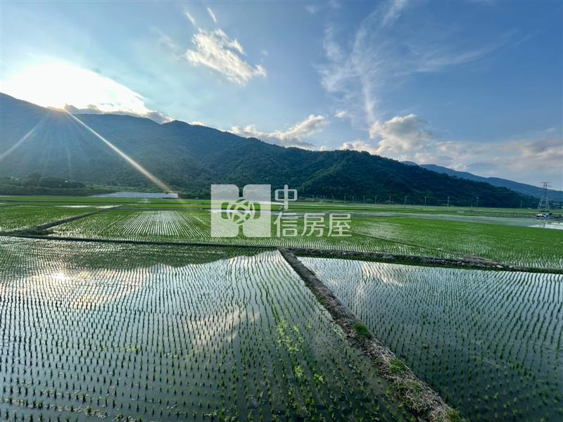 花蓮富里超便宜農地房屋室內格局與周邊環境
