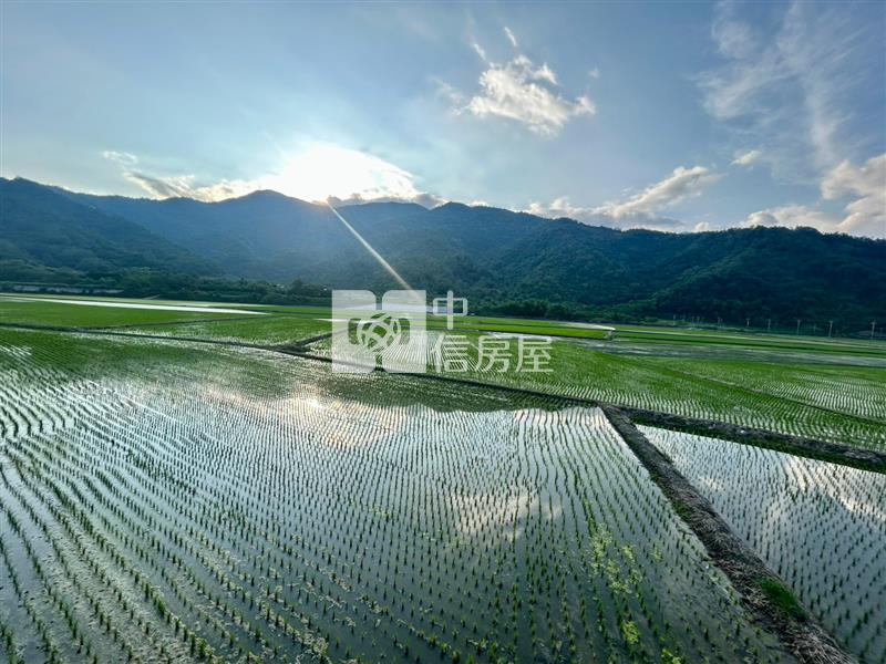 花蓮富里超便宜農地房屋室內格局與周邊環境