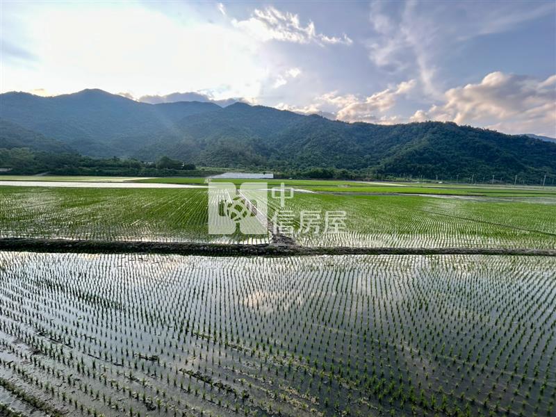 花蓮富里超便宜農地房屋室內格局與周邊環境
