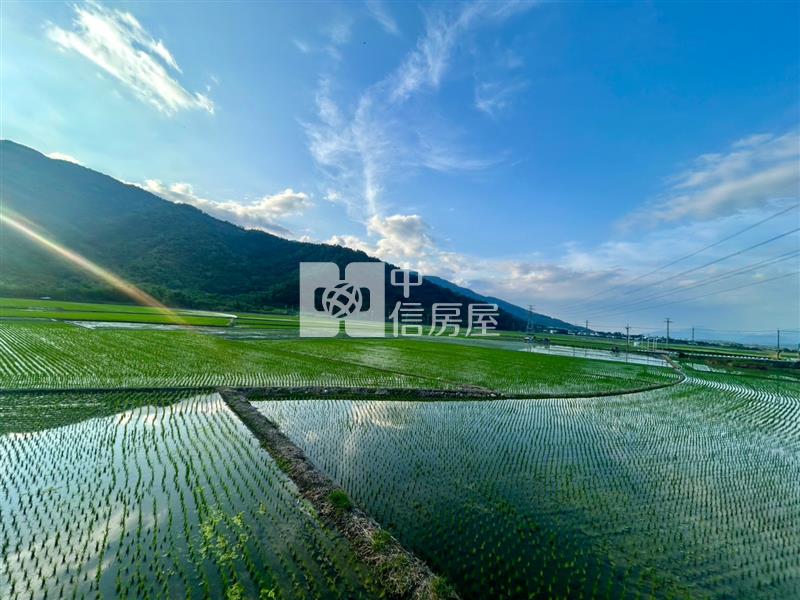 花蓮富里超便宜農地房屋室內格局與周邊環境