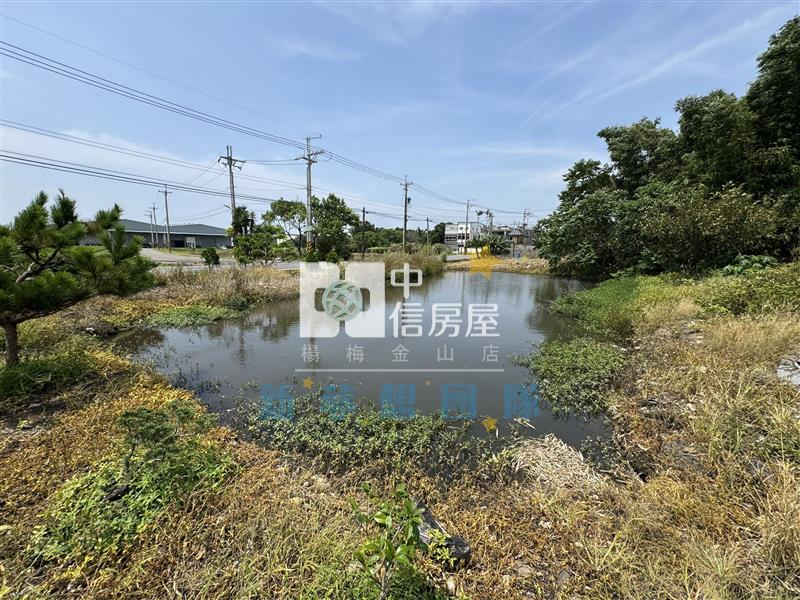 【新夢想】台31低總價137坪開心農場房屋室內格局與周邊環境