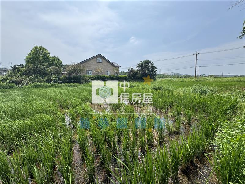 【新夢想】台31低總價137坪開心農場房屋室內格局與周邊環境