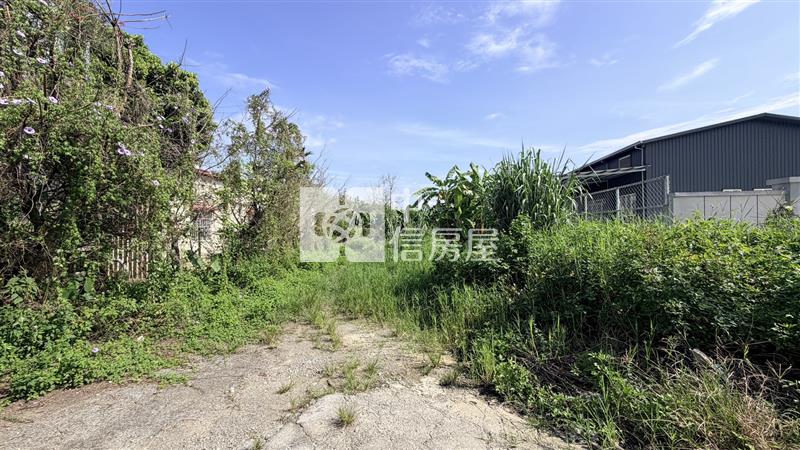 忠良雙面路農地房屋室內格局與周邊環境