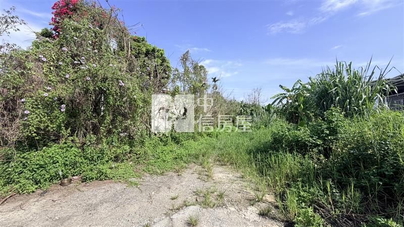 忠良雙面路農地房屋室內格局與周邊環境