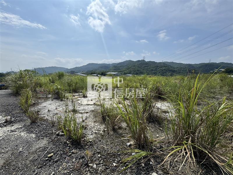 【安家】專任-龜山萬壽路保護區都內農地房屋室內格局與周邊環境