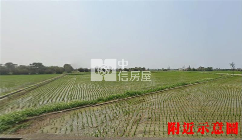 615新屋大坡路農地Ⅱ房屋室內格局與周邊環境