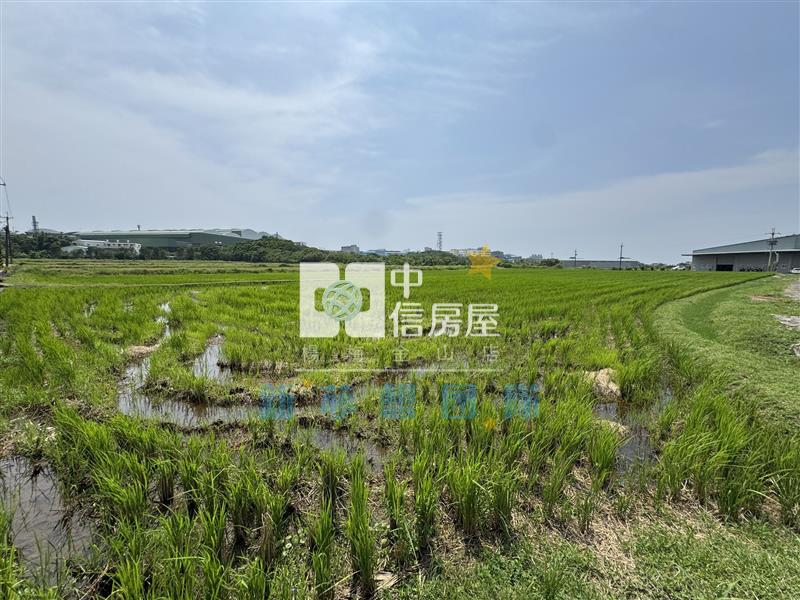 【新夢想】台31旁835坪農舍農地房屋室內格局與周邊環境