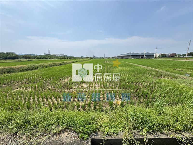 【新夢想】台31旁835坪農舍農地房屋室內格局與周邊環境