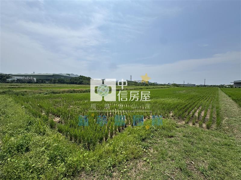【新夢想】台31旁835坪農舍農地房屋室內格局與周邊環境