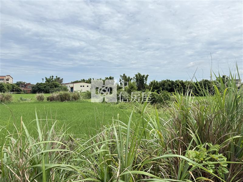 中壢高鐵南路方正美農地房屋室內格局與周邊環境