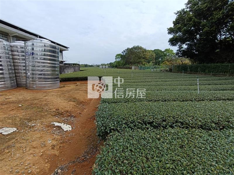龍潭黃金地段一般農地房屋室內格局與周邊環境