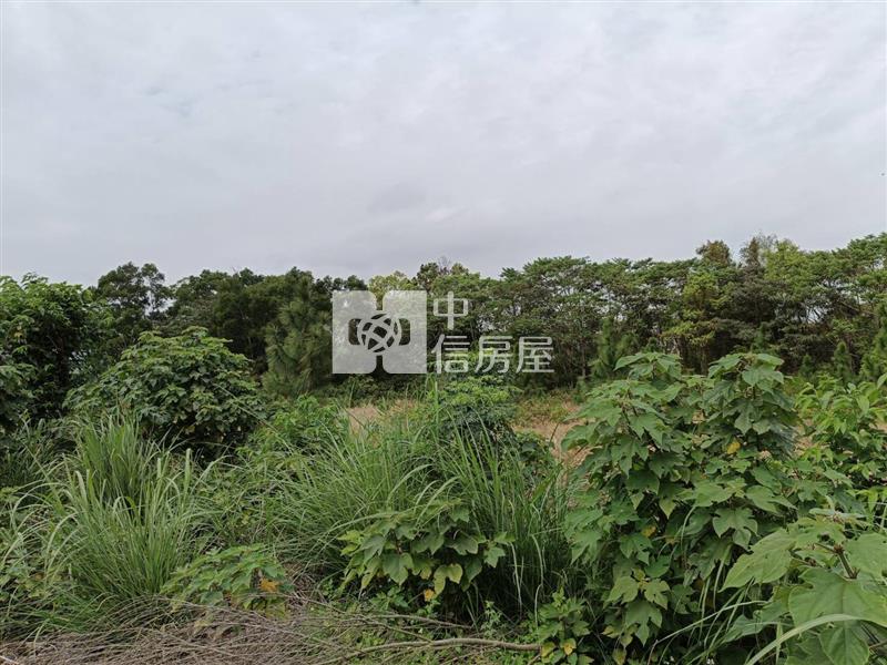 龍潭黃金地段一般農地房屋室內格局與周邊環境