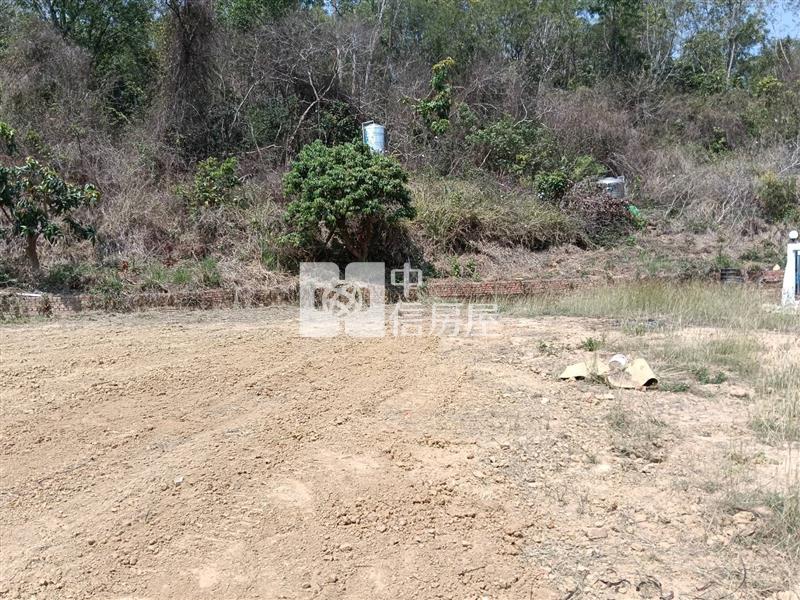 新化五甲勢優質價美建地(2)房屋室內格局與周邊環境