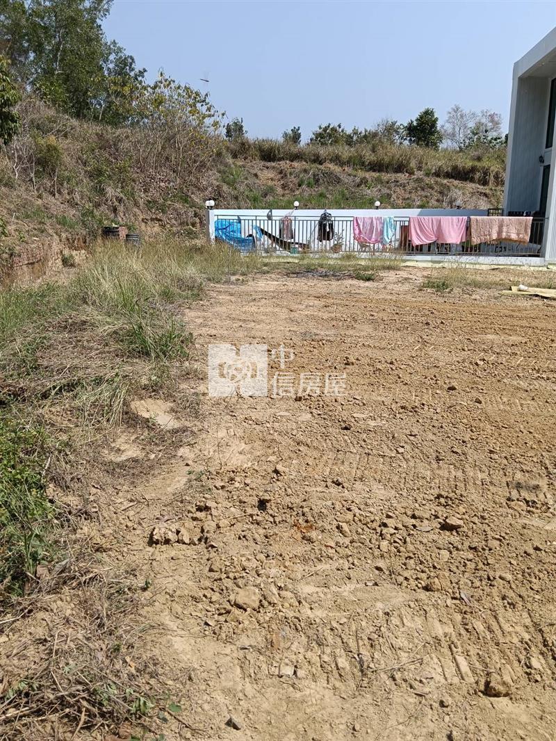 新化五甲勢優質價美建地(2)房屋室內格局與周邊環境