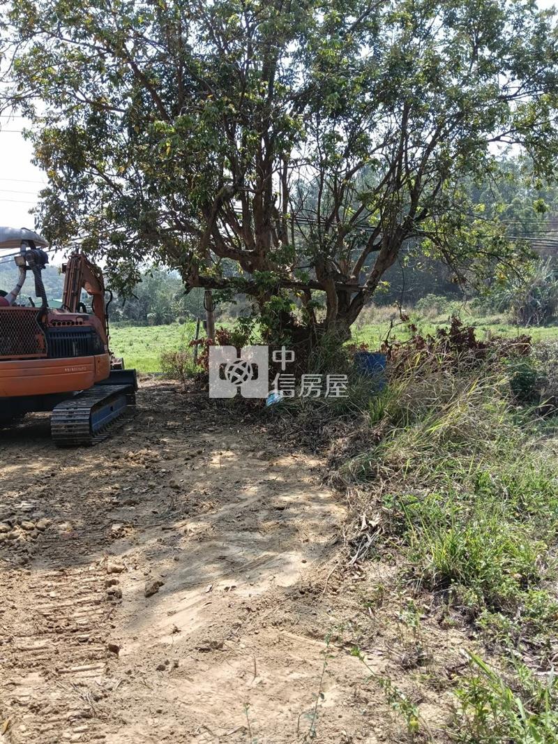新化五甲勢優質價美建地(2)房屋室內格局與周邊環境