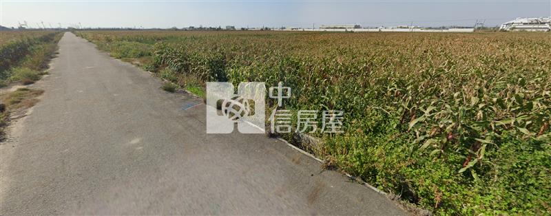 鹽水番子厝便宜農地房屋室內格局與周邊環境