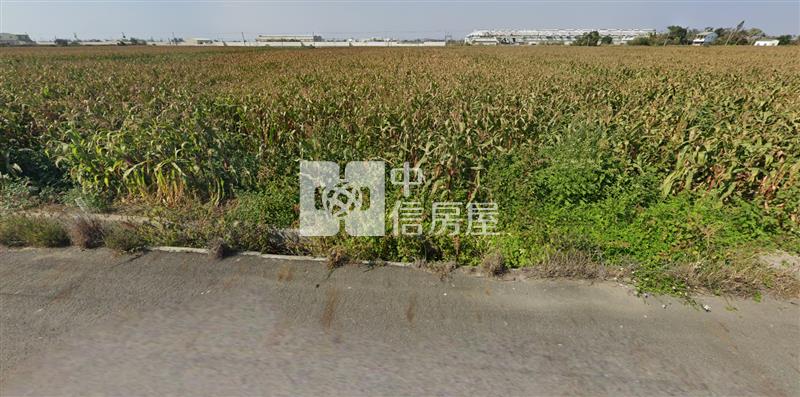 鹽水番子厝便宜農地房屋室內格局與周邊環境