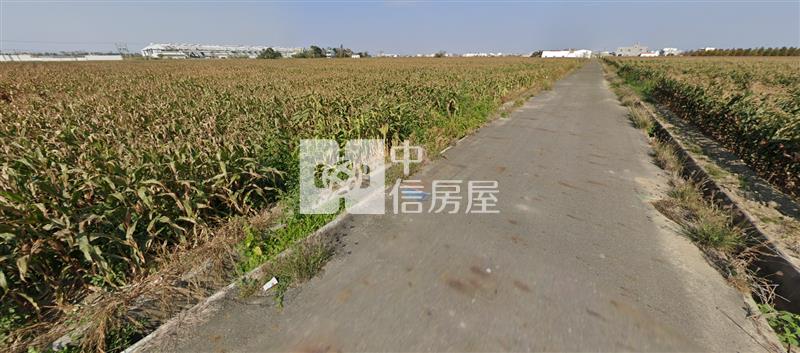 鹽水番子厝便宜農地房屋室內格局與周邊環境