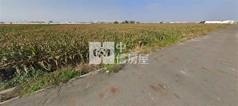 鹽水番子厝便宜農地房屋室內格局與周邊環境