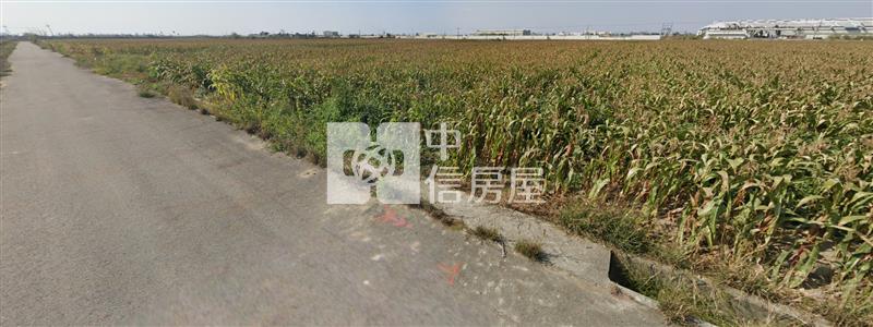 鹽水番子厝便宜農地房屋室內格局與周邊環境