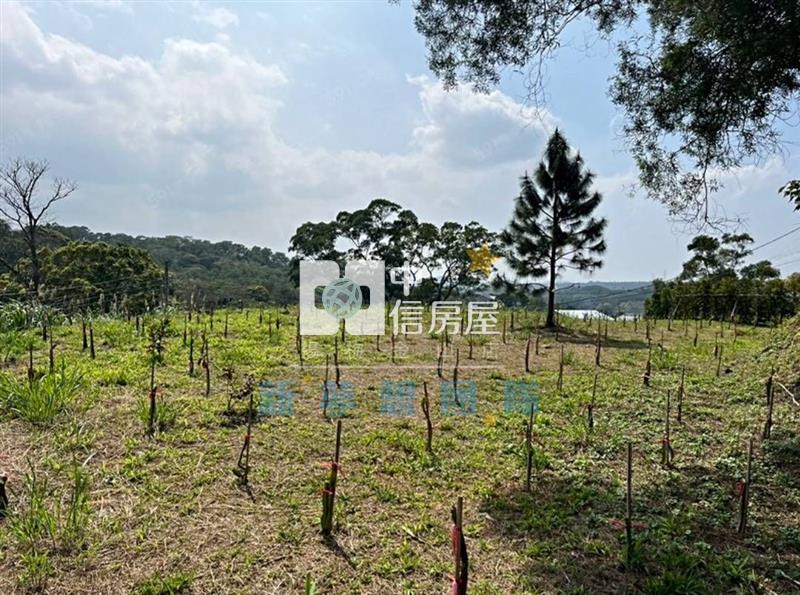 【新夢想】關西景觀農地818坪房屋室內格局與周邊環境