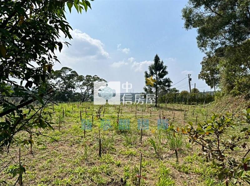 【新夢想】關西景觀農地818坪房屋室內格局與周邊環境