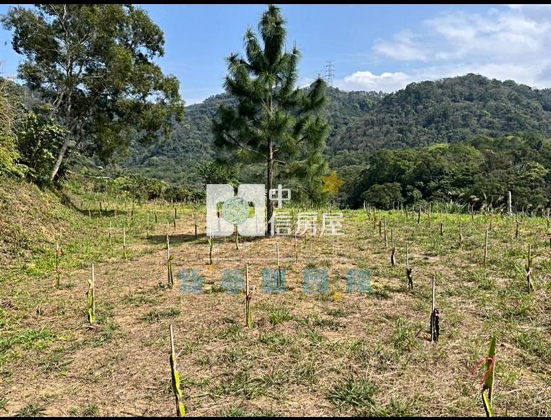 【新夢想】關西景觀農地818坪房屋室內格局與周邊環境