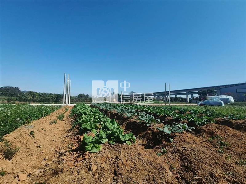 中壢新屋交流道平鎮長安路雙面臨路都內農(有水有電)房屋室內格局與周邊環境