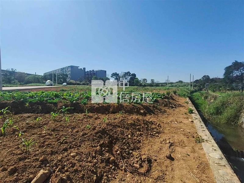 中壢新屋交流道平鎮長安路雙面臨路都內農(有水有電)房屋室內格局與周邊環境