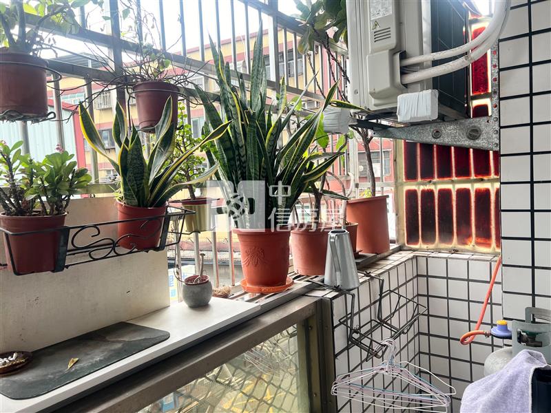 專-新勢國小低公設三面採光電梯三房房屋室內格局與周邊環境