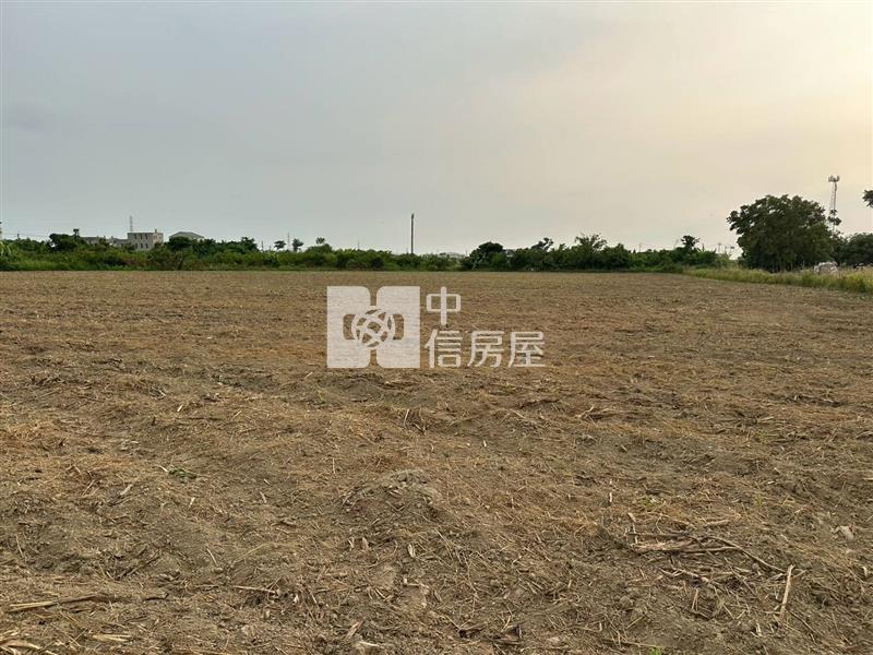 總價親民鹽水飯店段優質農地房屋室內格局與周邊環境