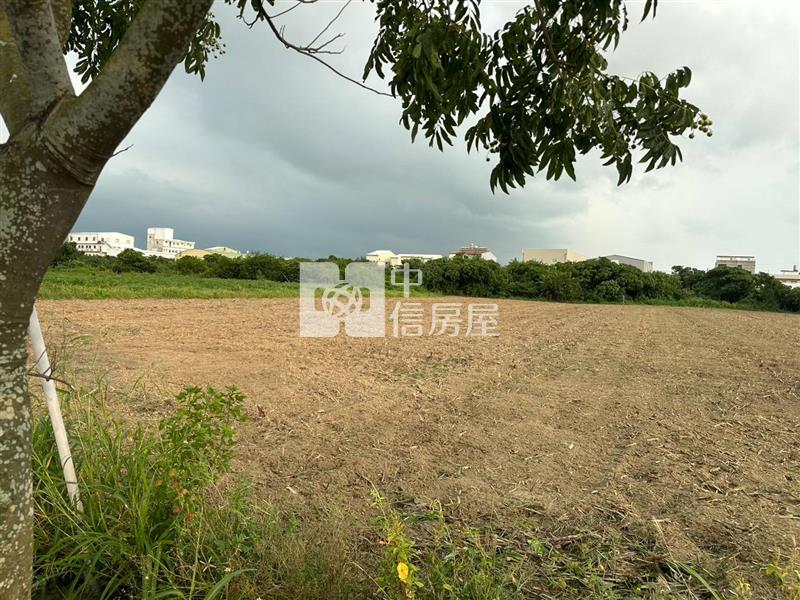 總價親民鹽水飯店段優質農地房屋室內格局與周邊環境