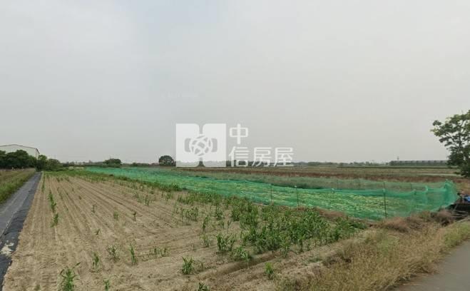 鹽水三和段近700坪農地房屋室內格局與周邊環境
