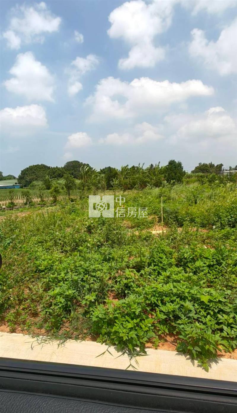 近復旦高中都內農(A)房屋室內格局與周邊環境