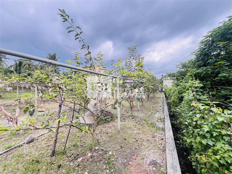 長治大路邊農地*專約*房屋室內格局與周邊環境