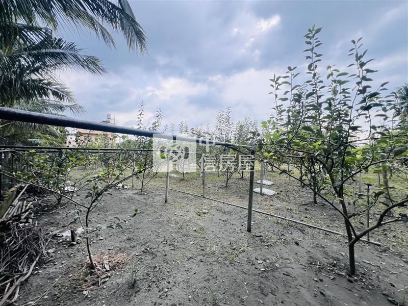 長治大路邊農地*專約*房屋室內格局與周邊環境