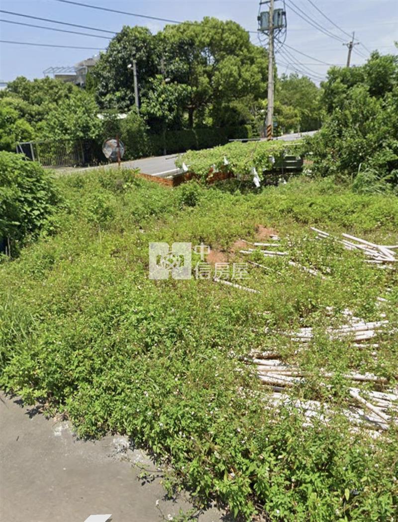 新屋方正臨路甲建房屋室內格局與周邊環境