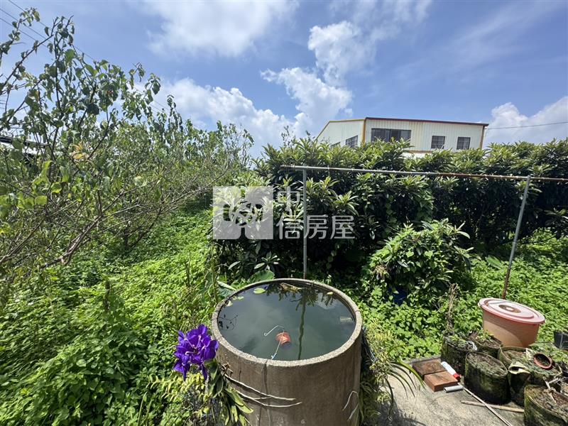 新社水井風景休閒農地附合法農舍房屋室內格局與周邊環境