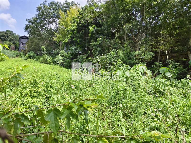 桃米精華地房屋室內格局與周邊環境