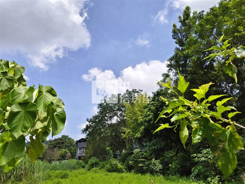 桃米精華地房屋室內格局與周邊環境