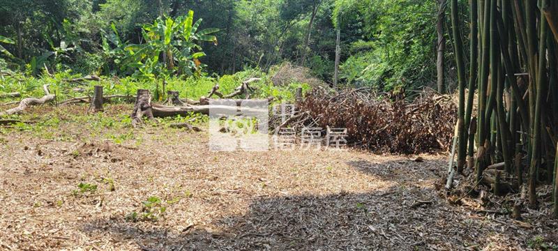 大溪信義路小農地房屋室內格局與周邊環境