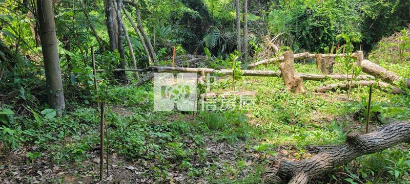 大溪信義路小農地房屋室內格局與周邊環境