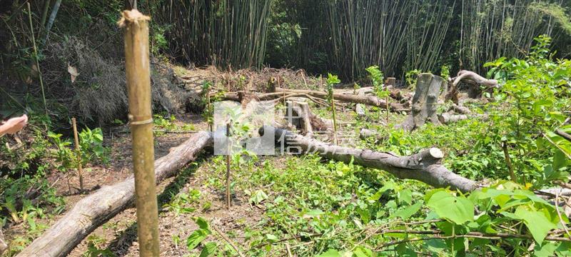 大溪信義路小農地房屋室內格局與周邊環境