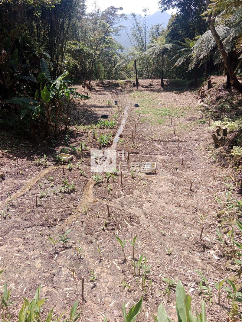 大溪福安段艽芎古道小農地房屋室內格局與周邊環境