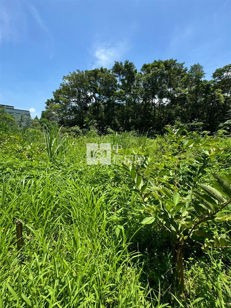 大溪瑞源段落羽松農地房屋室內格局與周邊環境