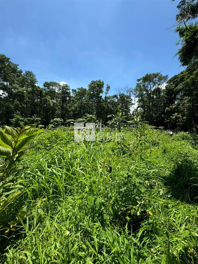 大溪瑞源段落羽松農地房屋室內格局與周邊環境
