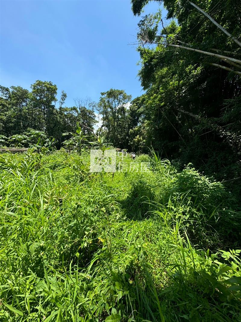 大溪瑞源段落羽松農地房屋室內格局與周邊環境